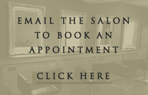 email-the-salon